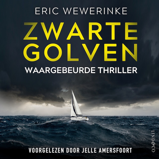 Copertina del libro per Zwarte golven