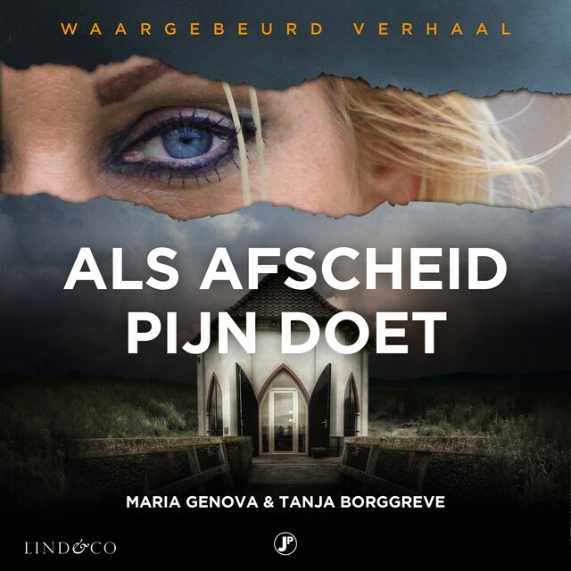 Couverture de livre pour Als afscheid pijn doet