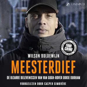 Meesterdief - luisterboek