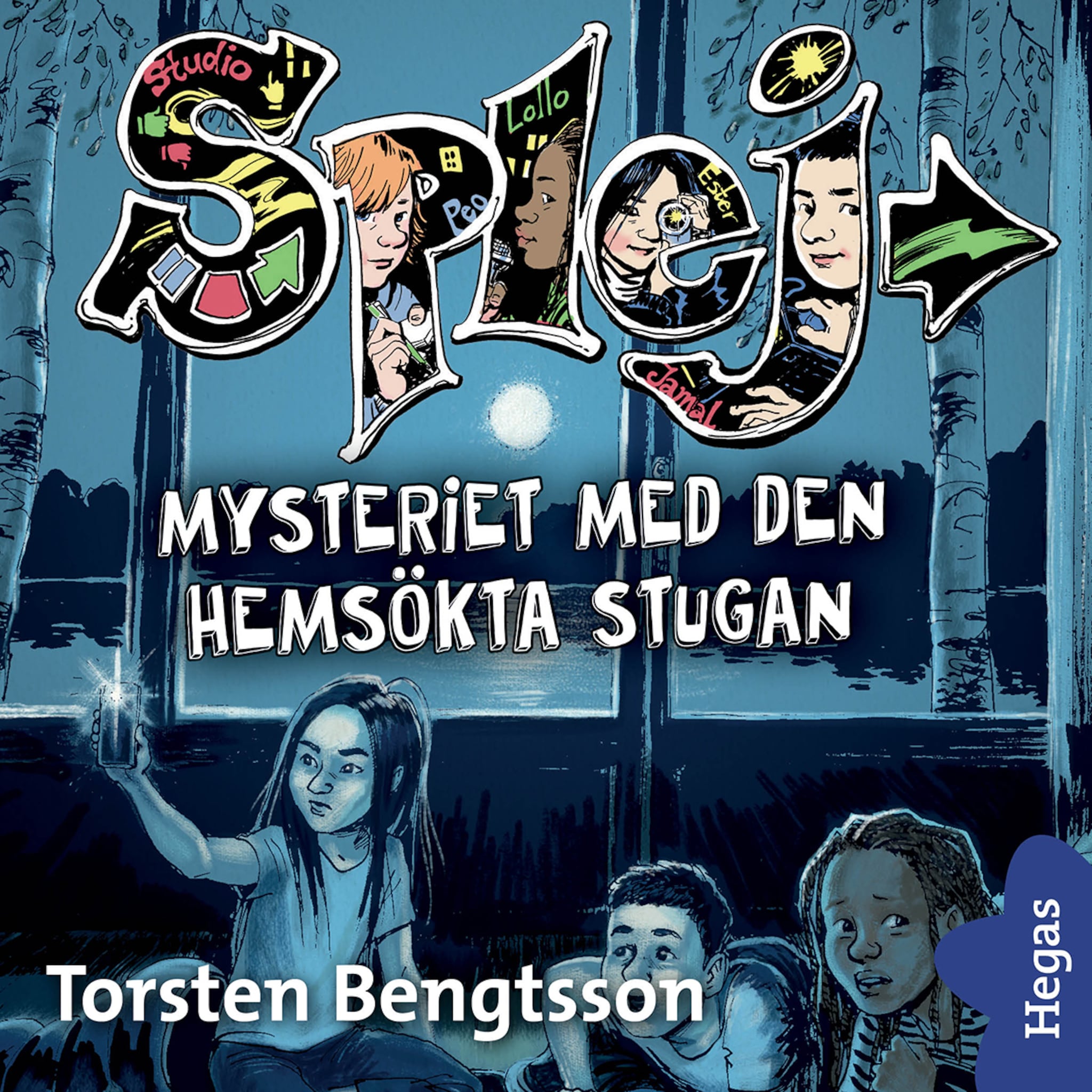 Mysteriet med den hemsökta stugan