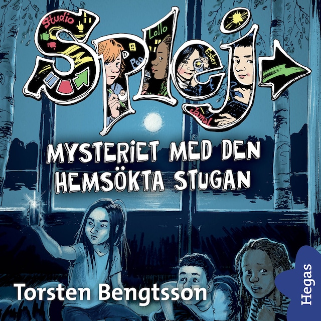Book cover for Mysteriet med den hemsökta stugan