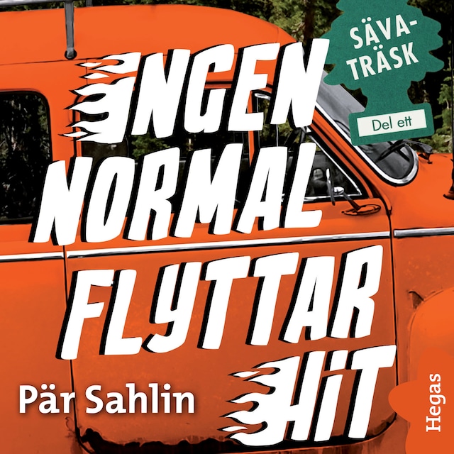 Buchcover für Ingen normal flyttar hit