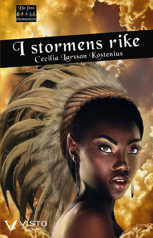 Book cover for I stormens rike