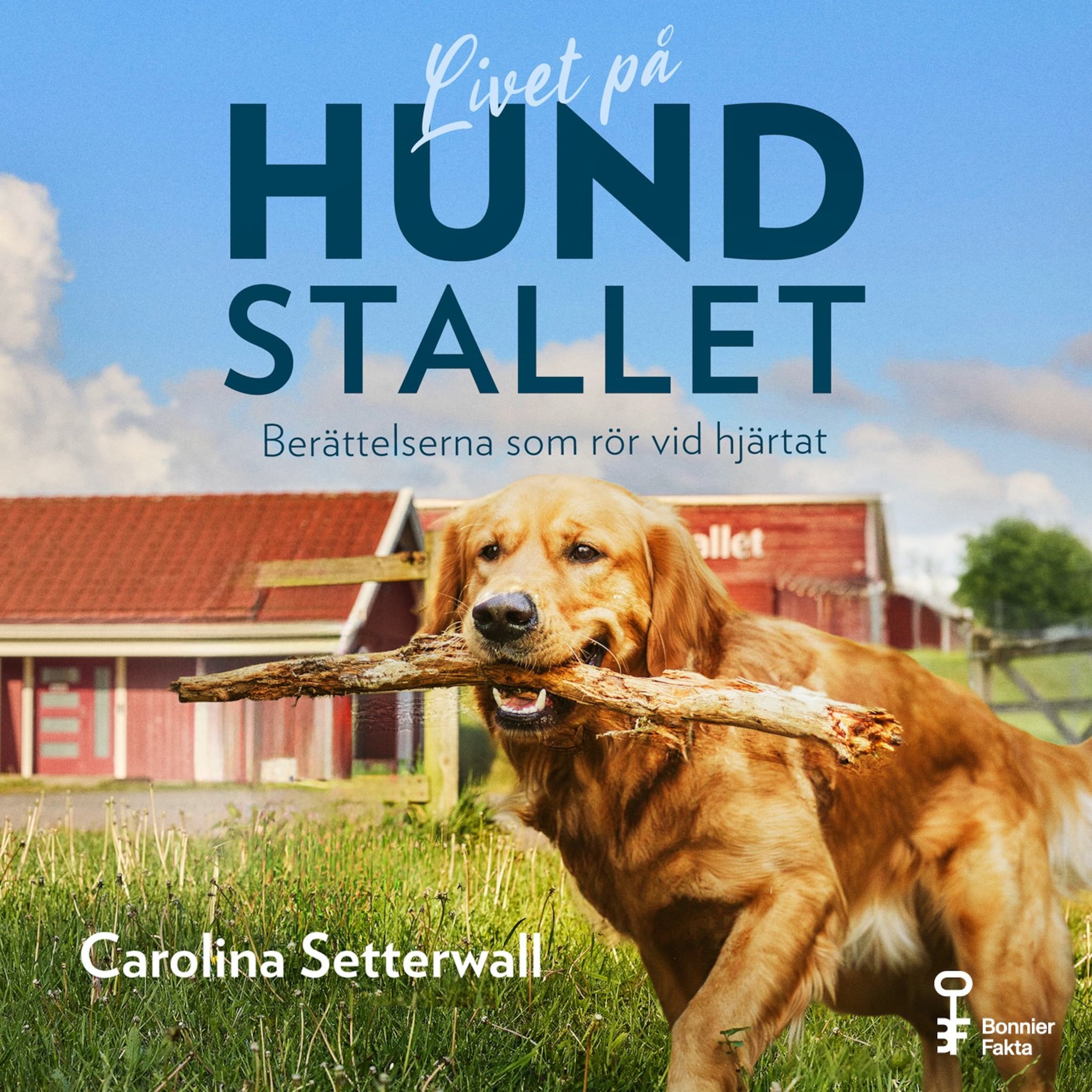 Livet på Hundstallet