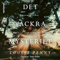 Det vackra mysteriet