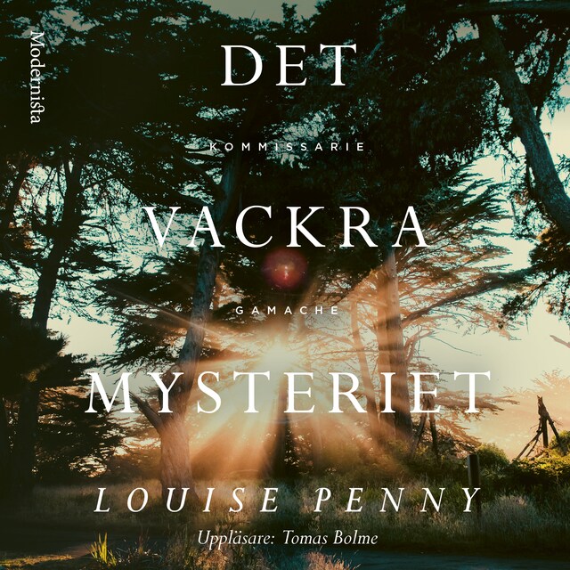Book cover for Det vackra mysteriet