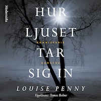 Hur ljuset tar sig in