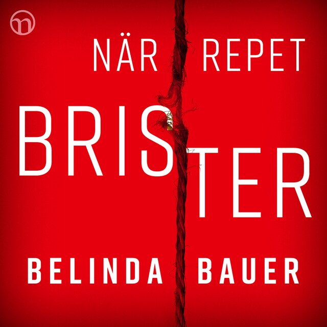 Book cover for När repet brister
