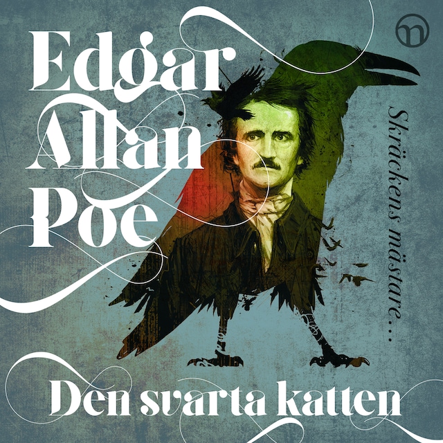 Book cover for Den svarta katten