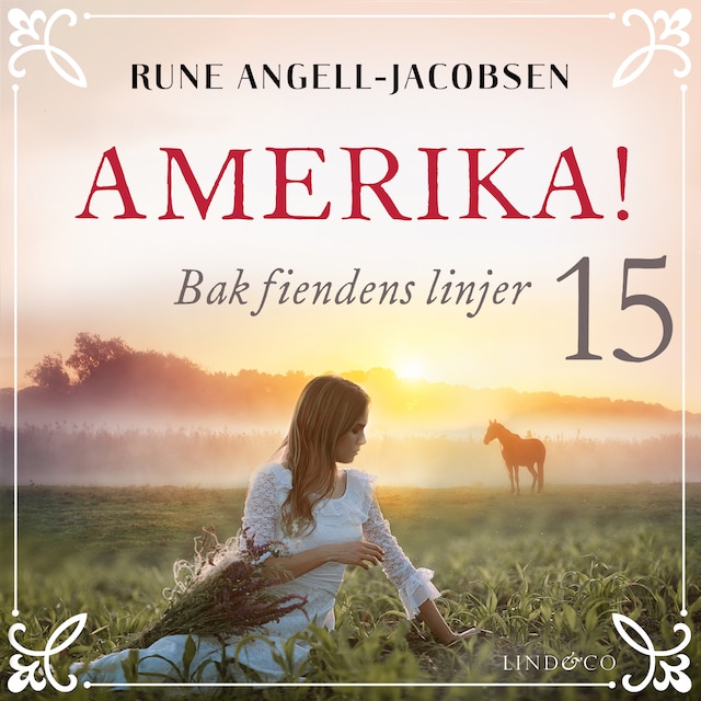 Buchcover für Bak fiendens linjer