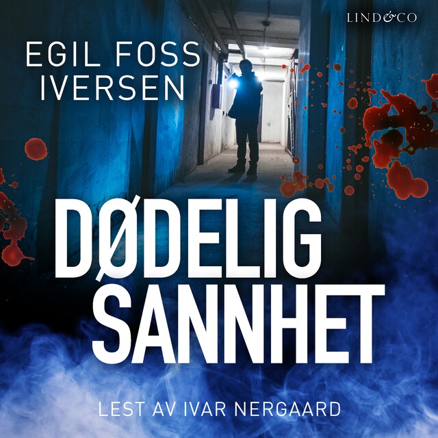 Buchcover für Dødelig sannhet