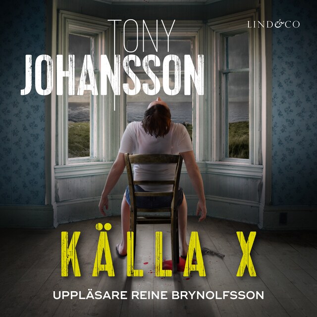 Book cover for Källa X