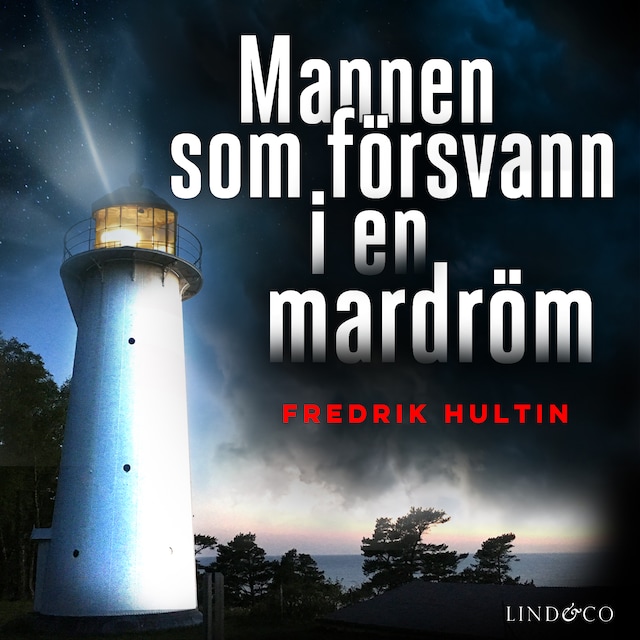 Buchcover für Mannen som försvann i en mardröm