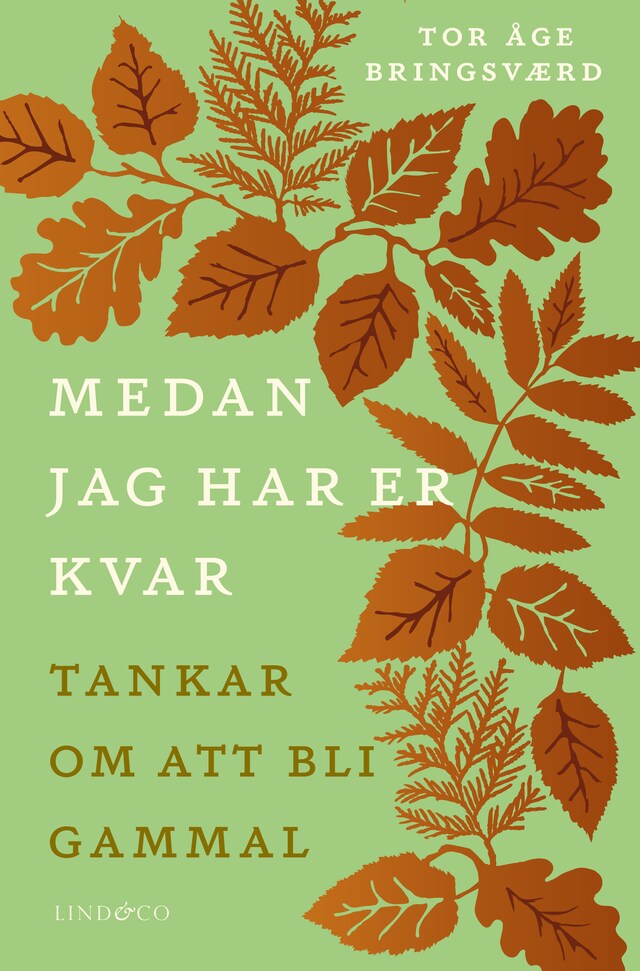 Buchcover für Medan jag har er kvar – Tankar om att bli gammal