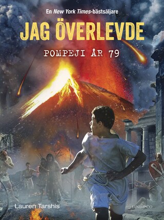 Jag överlevde Pompeji år 79 bookCoverFor