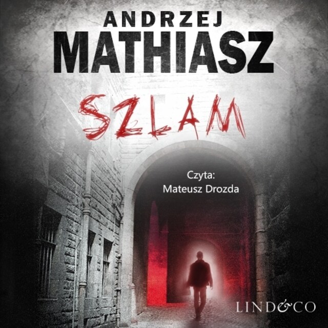 Couverture de livre pour Szlam