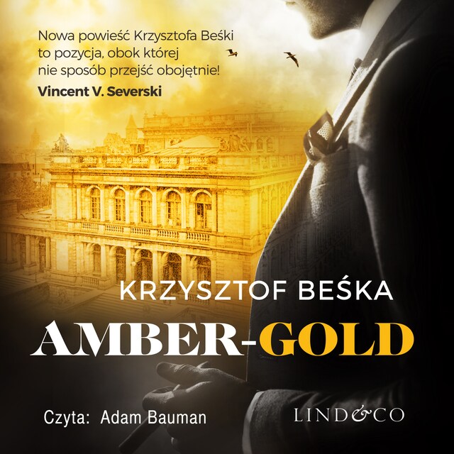 Book cover for Amber Gold