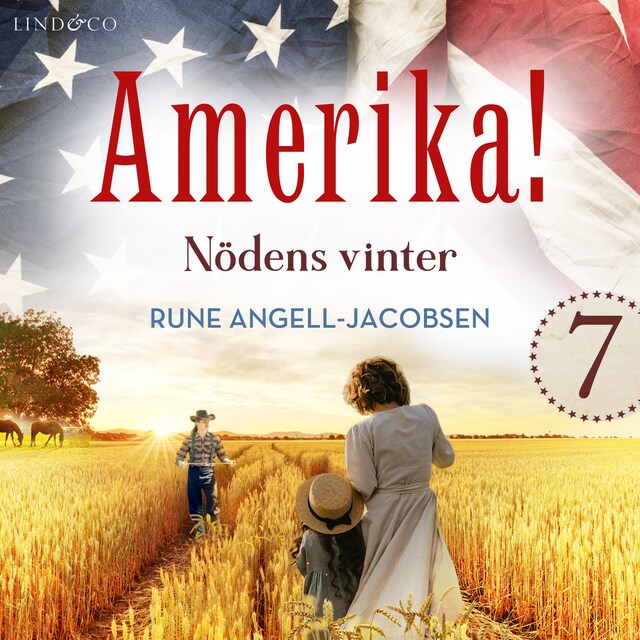 Copertina del libro per Nödens vinter