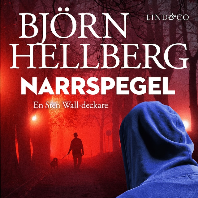 Book cover for Narrspegel