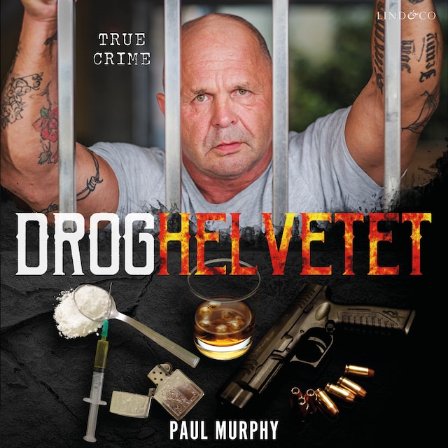 Couverture de livre pour Droghelvetet