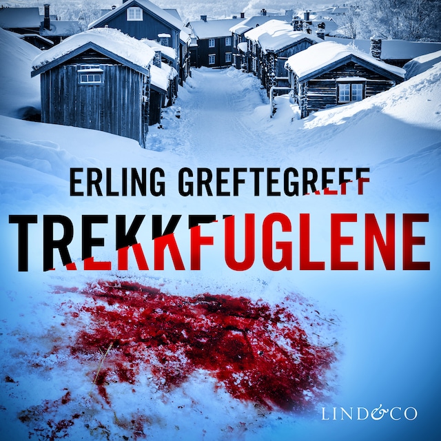 Buchcover für Trekkfuglene