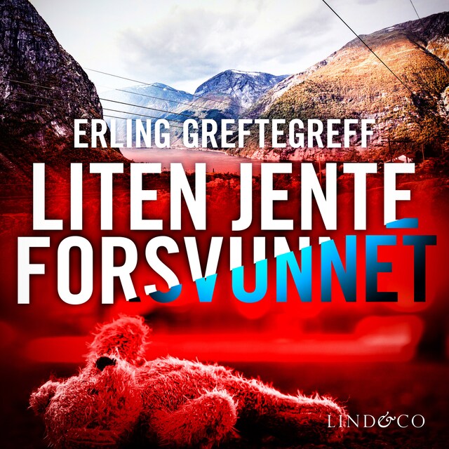 Book cover for Liten jente forsvunnet