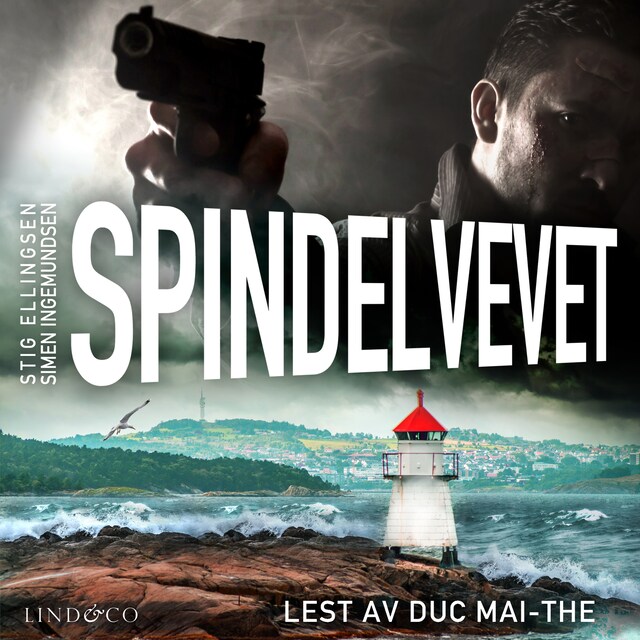 Book cover for Spindelvevet