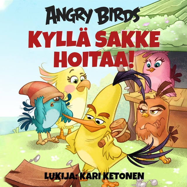 Copertina del libro per Angry Birds: Kyllä Sakke hoitaa!