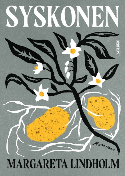 Syskonen bookCoverFor