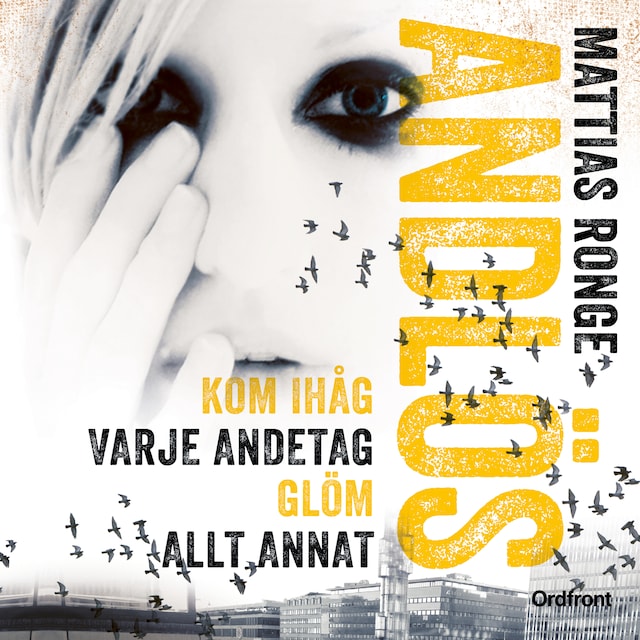 Book cover for Andlös