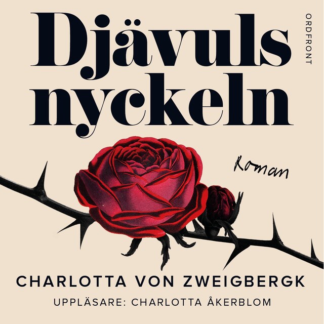 Couverture de livre pour Djävulsnyckeln