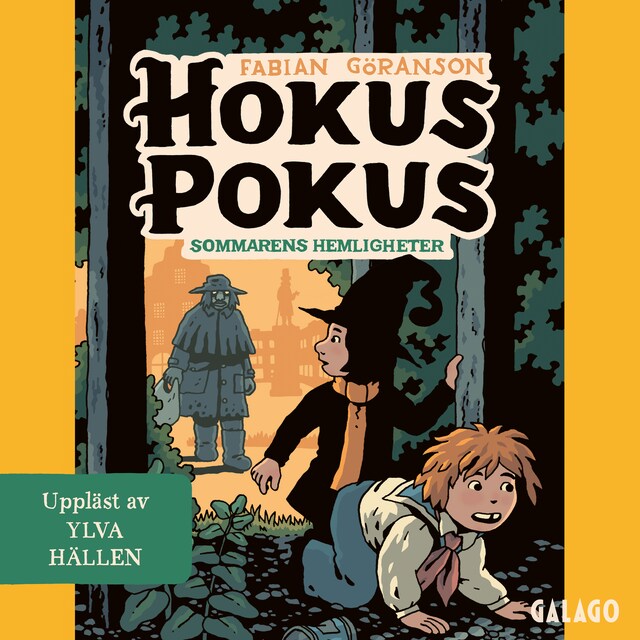 Buchcover für Hokus Pokus 6