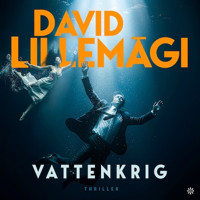 Vattenkrig