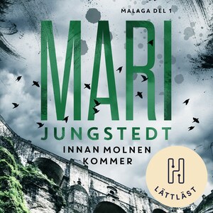 Innan molnen kommer (lättläst) bookCoverFor