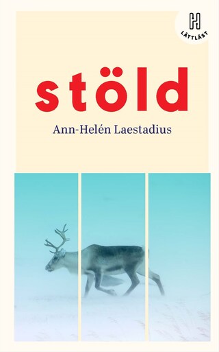 Stöld (lättläst) bookCoverFor