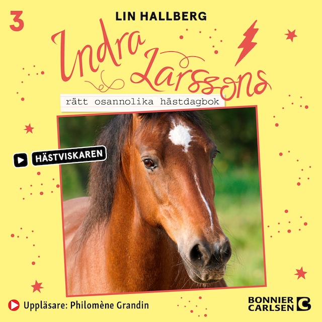 Book cover for Indra Larssons rätt osannolika hästdagbok