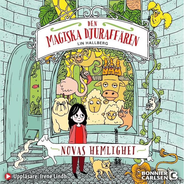 Couverture de livre pour Novas hemlighet