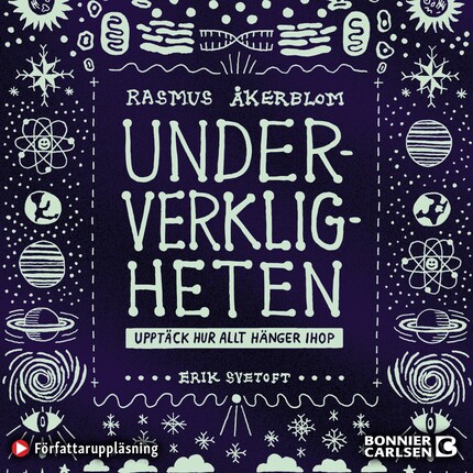 Underverkligheten : upptäck hur allt hänger ihop bookCoverFor