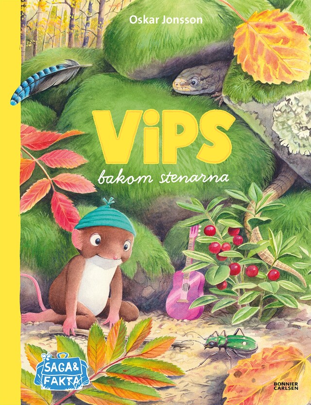 Copertina del libro per Vips bakom stenarna