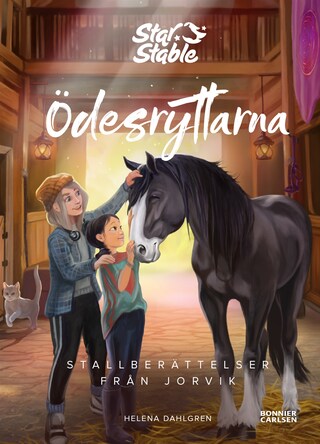 Stallberättelser från Jorvik bookCoverFor