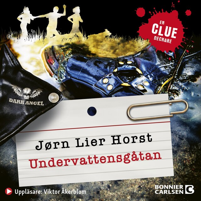 Book cover for Undervattensgåtan