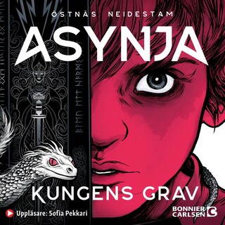 Kungens grav bookCoverFor