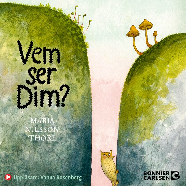 Bokomslag for Vem ser Dim?