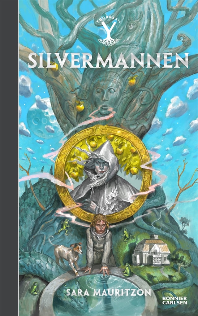Copertina del libro per Silvermannen