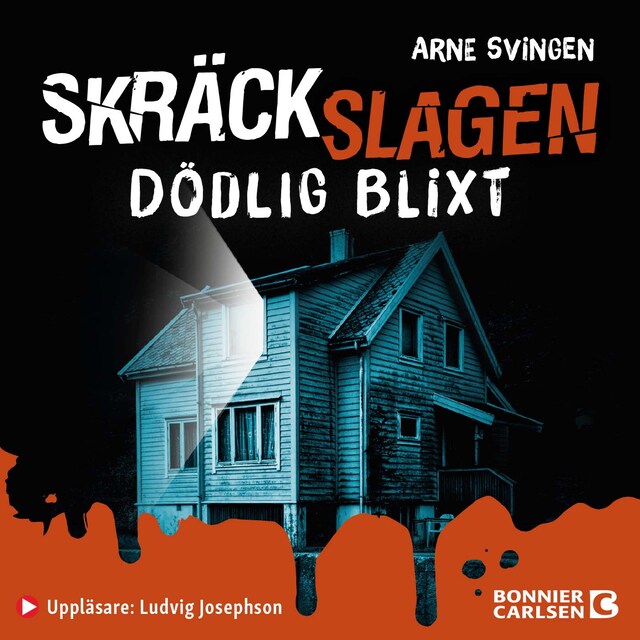 Book cover for Dödlig blixt