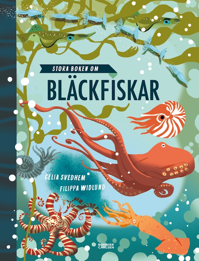 Book cover for Stora boken om bläckfiskar