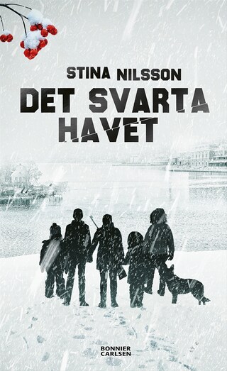 Det svarta havet bookCoverFor