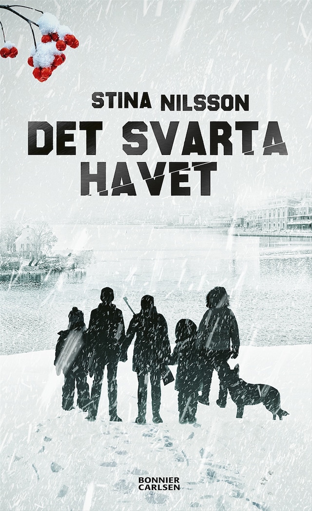 Book cover for Det svarta havet