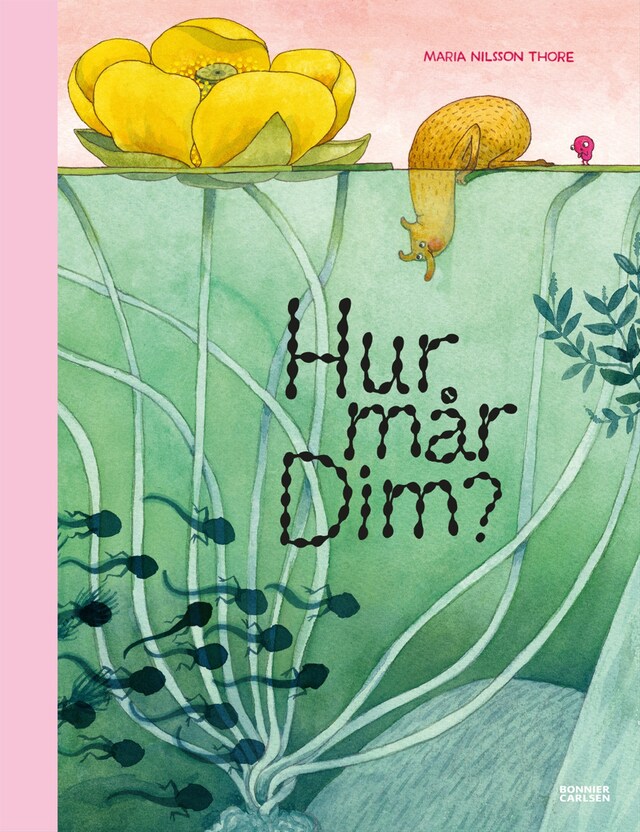 Couverture de livre pour Hur mår Dim?