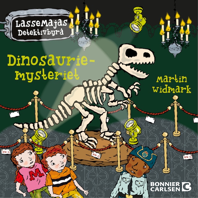 Couverture de livre pour Dinosauriemysteriet